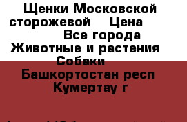 Щенки Московской сторожевой  › Цена ­ 25 000 - Все города Животные и растения » Собаки   . Башкортостан респ.,Кумертау г.